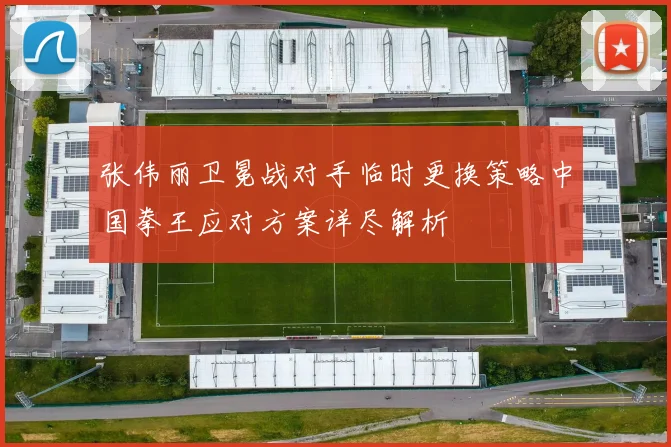 张伟丽卫冕战对手临时更换策略中国拳王应对方案详尽解析